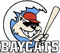 Barrie Baycats 2001-2010 Primary Logo iron on heat transfer
